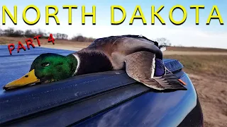 Waterfowl Hunting For Ducks And Geese In North Dakota