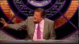 QI - Ferrets