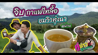 จิบกาแฟไทลื้อ ชมวิวทุ่งนา @น่าน | คู่ข่าวออนทัวร์ กำภูรัชนีย์ (24 ก.ย.66)