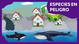 Especies en peligro | Planeta Darwin | Ciencias naturales