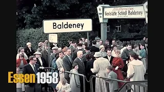 Ruhrgebiet 1958: Essen, Baldeney-See, Vogelpark