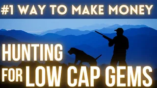 #1 Way To Make Money in Crypto - Hunting Low Cap Gems