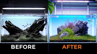 REFRESH YOUR PLANTED AQUARIUM! - How to Do a Soft Rescape