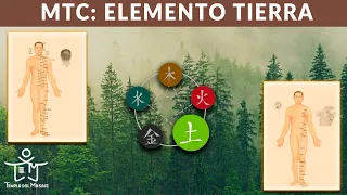 ELEMENTO TIERRA🌱Canal del ESTÓMAGO y Canal del BAZO con sus PUNTOS MÁS IMPORTANTES✨