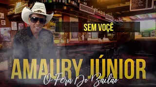 CD COMPLETO AMAURY JUNIOR 2021