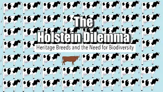 The Holstein Dilemma (2021) | Full Documentary