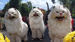 KIRAB CAN MACANAN SINGO MANGGALA DAN DRUMBAND MAONG REMAS DI POCANGAN SUKOWONO JEMBER PART1