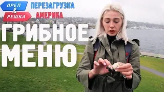 Достопримечастельность Сиэтла - шампиньоны! Орёл и Решка. Перезагрузка. АМЕРИКА