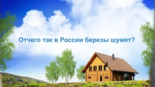 Отчего в России березы шумят? Покажет перепись!