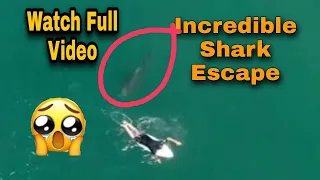 Australian surfer Matt Wilkinson's incredible shark escape near Ballina caught on camera