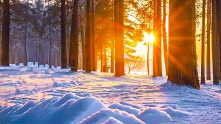 Beautiful Relaxing Music - Peaceful Soothing Instrumental Music "Flying Over Nature Winter"