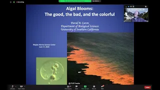 Algal Blooms: the good, the bad, and the colorful