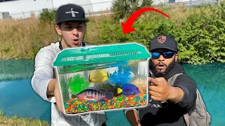 Catching NEW PET FISH for AQUARIUM!! (Exotic Fish)