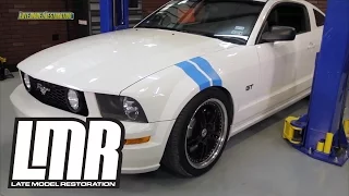 Mustang SVE Decal Application Kit & How to Install