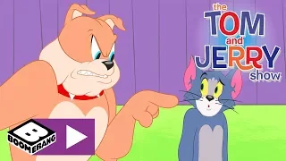 Tom i Jerry Show | Zarządzenie złością | Boomerang