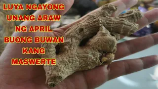 LUYA NGAYONG UNANG ARAW NG APRIL BUONG BUWAN KANG MASWERTE-APPLE PAGUIO7