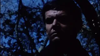 The Terror (1963) by Roger Corman, Clip: Jack Nicholson and the strange lady in the blue woods...