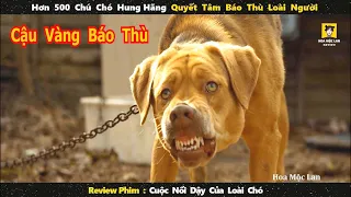 Hơn 500 Chú Chó Hung Hãng Quyết Tâm Báo Thù Loài Người || review phim