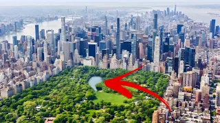 Was lebt in diesem winzigen Teich im New York City Central Park?