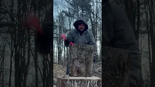 Monster maul vs Oak in 14 below zero!!! #splittingfirewood #viralvideo