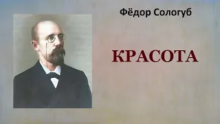 Фёдор Сологуб.  Красота. Аудиокнига.