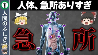 【ゆっくり解説】絶対に殴ってはいけない人体の急所7選　～人間の雑学～