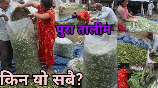 साईलेज बनाउने सजीलो तरीका|| अब आफ्नै घरमा आफैं बनाउँनु साईलेज||How to make silage at home