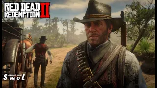 РАЗВЛЕЧЕНИЯ В ГОРОДЕ ► RED DEAD REDEMPTION 2 (прохождение без комментариев) #24 | Play_Smol