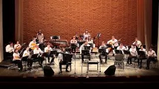 V. Gridin - "The Gipsy rhapsody" (В.Гридин - "Цыганская рапсодия")