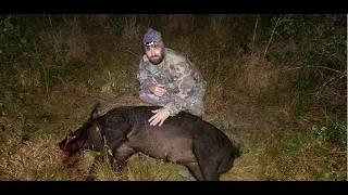 Monster boar hog***domed!***