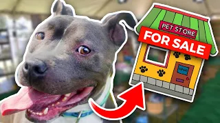Buying a Homeless Dog an ENTIRE Pet Store! - Challenge