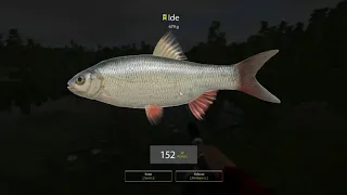 Russian Fishing 4 Beginner's Guide to RF4 Vol 5 Level 9 Winding Rivulet Are we Ready?