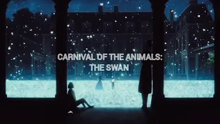 saint-saëns - carnival of the animals: the swan | 𝙨𝙡𝙤𝙬𝙚𝙙 + 𝙧𝙚𝙫𝙚𝙧𝙗