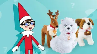 Elf Pets Basics | Did You Know? North Pole Edition