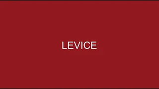 LEVICE