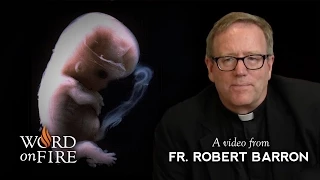 Bishop Barron on Abortion and Health Care