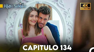 Pájaro Soñador Capítulo 134 (Doblado En Español 4K)