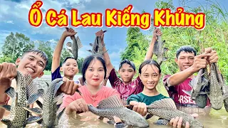 Anh Hai Vlog | Tranh Tài Mò Cá Trên Đoạn Sông Đặc Cá Lau Kiếng Trong Hang