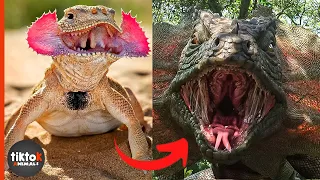 I'm a big kid now -  Animals Transformation - lizards Grow Up