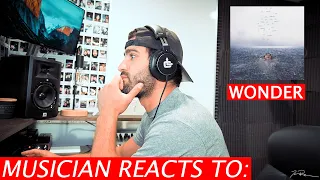 Shawn Mendes - Wonder - Musician Reacts