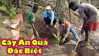 Cây ăn quả Việt Nam đầu tiền được trồng trên đất 2Q|| 2Q vlogs Cuộc Sống Châu Phi