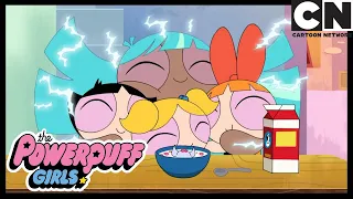 THE POWERPUFF GIRLS FAMILY Cartoon Network