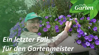 Das können Sie pflanzen, wo nichts wächst | MDR Garten