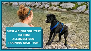 Diese 4 Dinge solltest du beim Alleinbleiben-Training nicht tun!