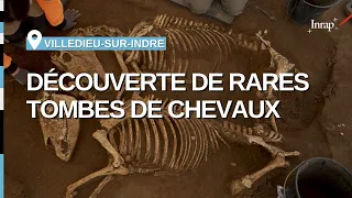 Des chevaux gaulois ont-ils été sacrifiés à Villedieu-sur-Indre (Indre) ?