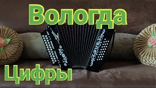 ВОЛОГДА на гармони/ Вологда цифры