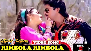 RIMBOLA RIMBOLA |VIDEO SONG | PUTTINILLA METTINILLA | BHANU CHANDER | MADHUBALA | TELUGU CINEMA ZONE