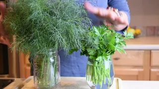 HOW TO STORE FRESH HERBS FOR LATER USE - PARSLEY & DILL