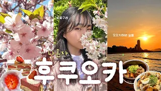 🇯🇵 나혼자 후쿠오카 2박3일 여행vlog | 오호리 공원 벚꽃🌸 | 모모치 해변 일몰🌅 | 캡슐호텔 퍼스트 캐빈 하카타 | 우나기동, 치킨난반 맛집 발견! 카페 추천 [진투어]