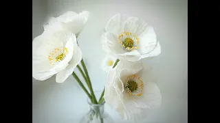 МК Белый мак из холодного фарфора🌸  White cold porcelain poppy